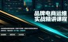 品牌电商运维实战精讲课程｜吃透电商品牌落地逻辑、穿越行业周期、搭建长效变现运营体系