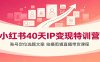 小红书40天IP变现特训营：账号定位选题文案，拍摄剪辑直播带货课程
