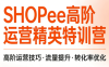 梦凡老师·Shopee虾皮高阶运营课程(更新)