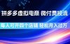 拼多多虚拟电商，微付费投流玩法，每人可开四个店，轻松月入过1W【揭秘】