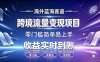 海外蓝海赛道  跨境流量变现项目  收益实时到账  零门槛简单易上手