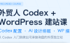外贸人Codex + WordPress建站课