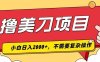 撸美刀，单日收入2000+，小白可做